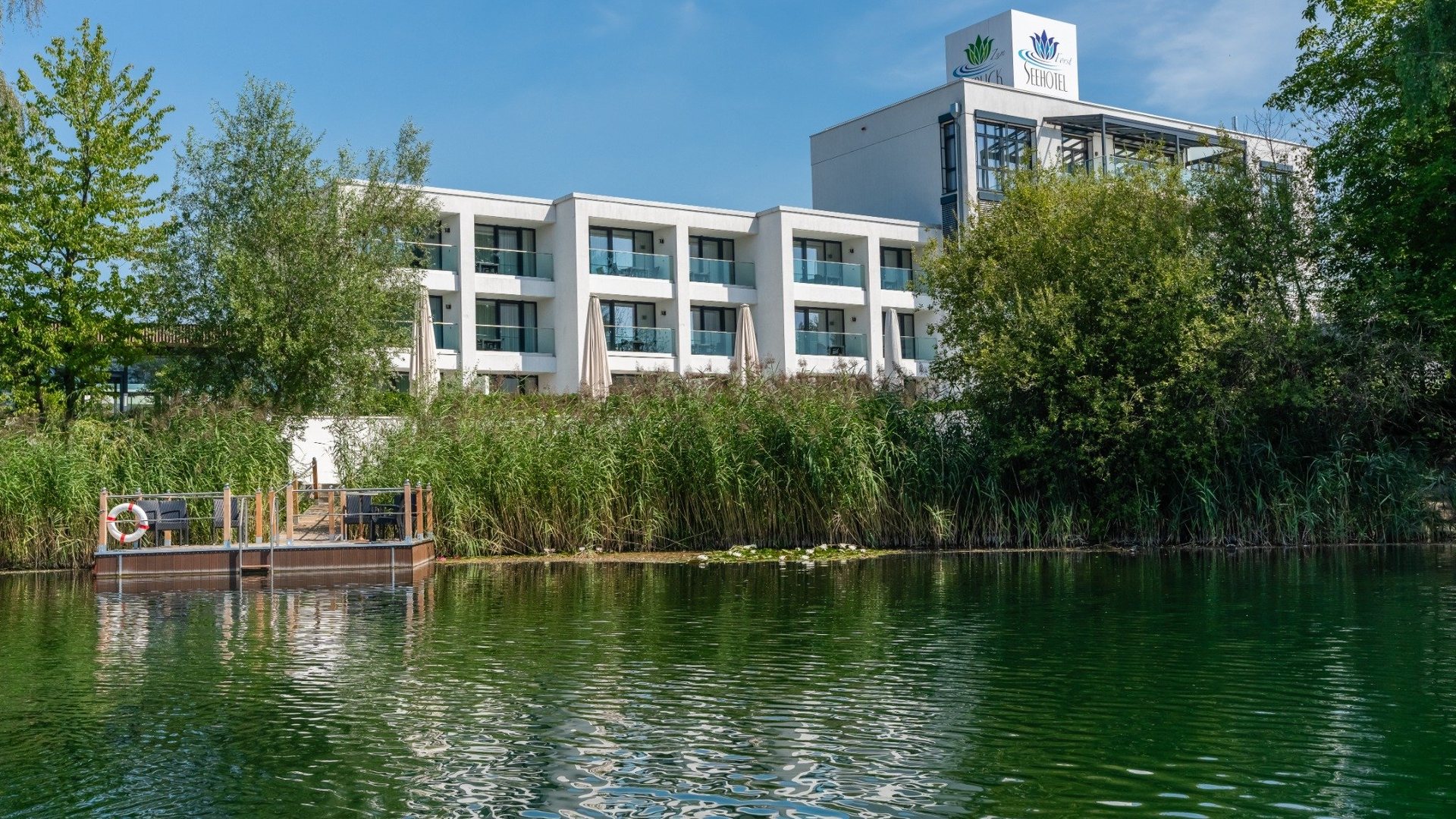 Das Seehotel Forst hinter Schilf und Ufer, im Vordergrund der Weindelsee
